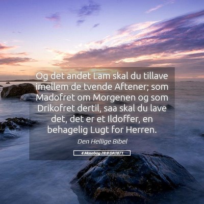 Picture 05 - 4 Mosebog 28:8 DA1871 - Og det andet Lam skal du tillave imellem de - Bible Verse Picture