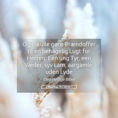 Picture 05 - 4 Mosebog 29:2 DA1871 - Og I skulle gøre Brændoffer til en behagelig - Bible Verse Picture