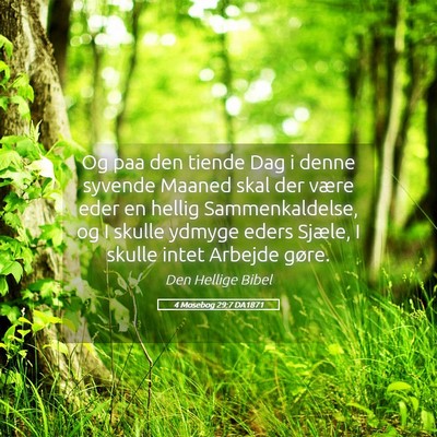 Picture 05 - 4 Mosebog 29:7 DA1871 - Og paa den tiende Dag i denne syvende Maaned skal - Bible Verse Picture