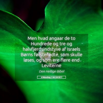 Picture 05 - 4 Mosebog 3:46 DA1871 - Men hvad angaar de to Hundrede og tre og - Bible Verse Picture