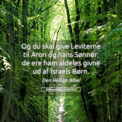 Picture 05 - 4 Mosebog 3:9 DA1871 - Og du skal give Leviterne til Aron og hans - Bible Verse Picture