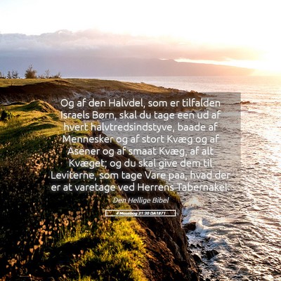 Picture 05 - 4 Mosebog 31:30 DA1871 - Og af den Halvdel, som er tilfalden Israels - Bible Verse Picture