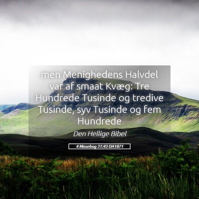 Picture 05 - 4 Mosebog 31:43 DA1871 - men Menighedens Halvdel var af smaat Kvæg: Tre - Bible Verse Picture