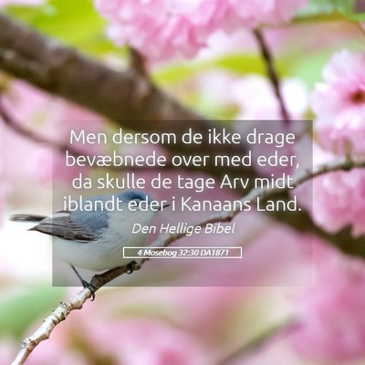 Picture 05 - 4 Mosebog 32:30 DA1871 - Men dersom de ikke drage bevæbnede over med - Bible Verse Picture