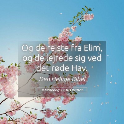 Picture 05 - 4 Mosebog 33:10 DA1871 - Og de rejste fra Elim, og de lejrede sig ved det - Bible Verse Picture