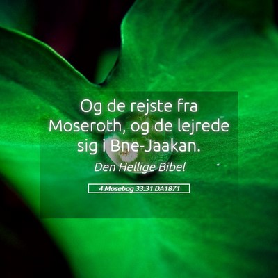 Picture 05 - 4 Mosebog 33:31 DA1871 - Og de rejste fra Moseroth, og de lejrede sig i - Bible Verse Picture
