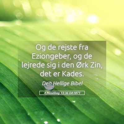 Picture 05 - 4 Mosebog 33:36 DA1871 - Og de rejste fra Eziongeber, og de lejrede sig i - Bible Verse Picture