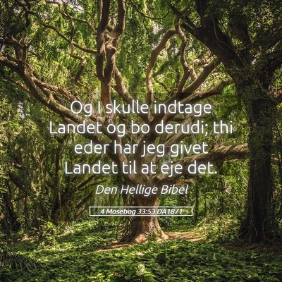 Picture 05 - 4 Mosebog 33:53 DA1871 - Og I skulle indtage Landet og bo derudi; thi eder - Bible Verse Picture