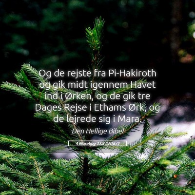 Picture 05 - 4 Mosebog 33:8 DA1871 - Og de rejste fra Pi-Hakiroth og gik midt igennem - Bible Verse Picture