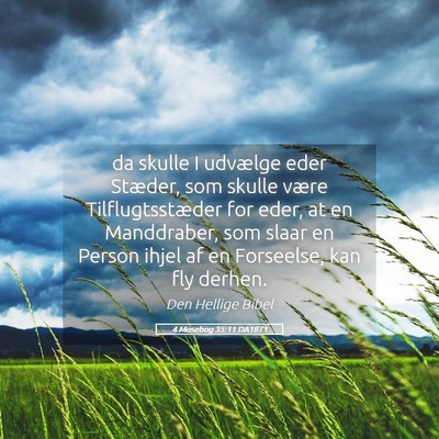 Picture 05 - 4 Mosebog 35:11 DA1871 - da skulle I udvælge eder Stæder, som skulle - Bible Verse Picture