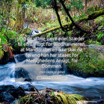 Picture 05 - 4 Mosebog 35:12 DA1871 - Og de skulle være eder Stæder til en Tilflugt - Bible Verse Picture