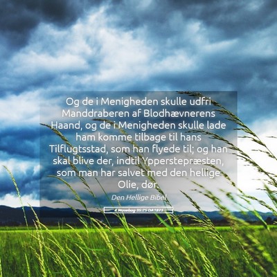 Picture 05 - 4 Mosebog 35:25 DA1871 - Og de i Menigheden skulle udfri Manddraberen af - Bible Verse Picture