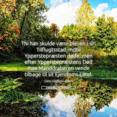 Picture 05 - 4 Mosebog 35:28 DA1871 - Thi han skulde være bleven i sin Tilflugtsstad, - Bible Verse Picture