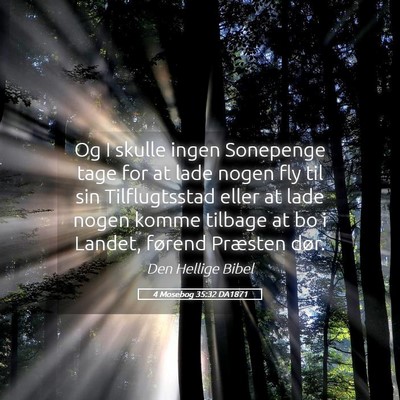 Picture 05 - 4 Mosebog 35:32 DA1871 - Og I skulle ingen Sonepenge tage for at lade - Bible Verse Picture