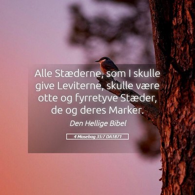 Picture 05 - 4 Mosebog 35:7 DA1871 - Alle Stæderne, som I skulle give Leviterne, - Bible Verse Picture