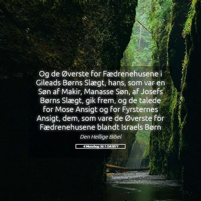 Picture 05 - 4 Mosebog 36:1 DA1871 - Og de Øverste for Fædrenehusene i Gileads - Bible Verse Picture