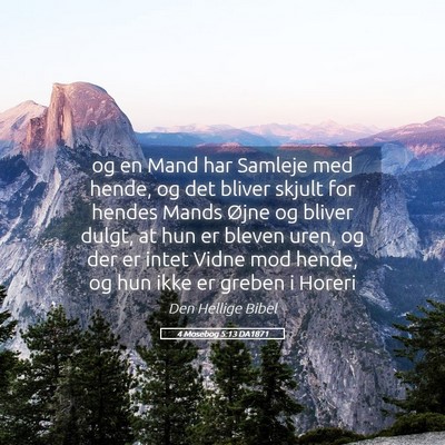 Picture 05 - 4 Mosebog 5:13 DA1871 - og en Mand har Samleje med hende, og det bliver - Bible Verse Picture