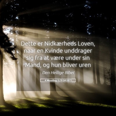 Picture 05 - 4 Mosebog 5:29 DA1871 - Dette er Nidkærheds Loven, naar en Kvinde - Bible Verse Picture