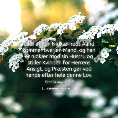 Picture 05 - 4 Mosebog 5:30 DA1871 - eller om en Nidkærheds Aand kommer over en Mand, - Bible Verse Picture