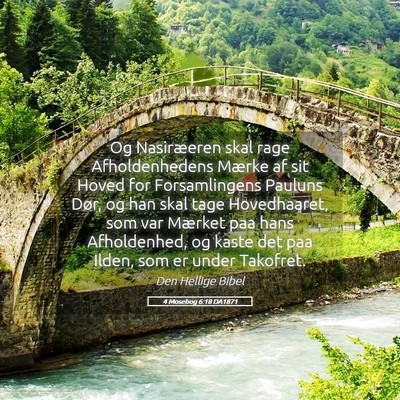 Picture 05 - 4 Mosebog 6:18 DA1871 - Og Nasiræeren skal rage Afholdenhedens Mærke af - Bible Verse Picture