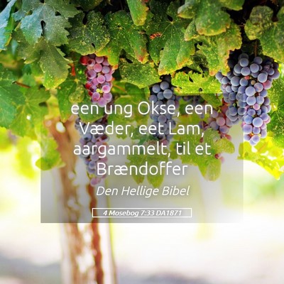 Picture 05 - 4 Mosebog 7:33 DA1871 - een ung Okse, een Væder, eet Lam, aargammelt, - Bible Verse Picture