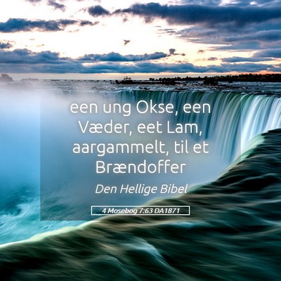 Picture 05 - 4 Mosebog 7:63 DA1871 - een ung Okse, een Væder, eet Lam, aargammelt, - Bible Verse Picture