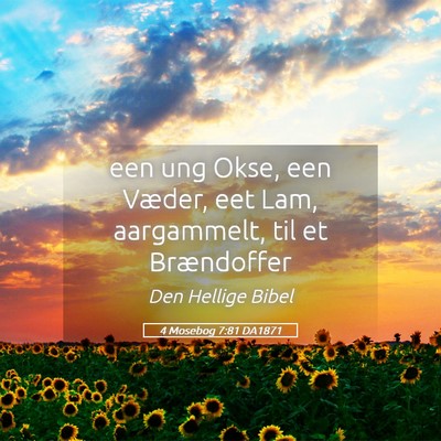 Picture 05 - 4 Mosebog 7:81 DA1871 - een ung Okse, een Væder, eet Lam, aargammelt, - Bible Verse Picture