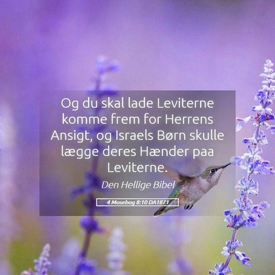 Picture 05 - 4 Mosebog 8:10 DA1871 - Og du skal lade Leviterne komme frem for Herrens - Bible Verse Picture