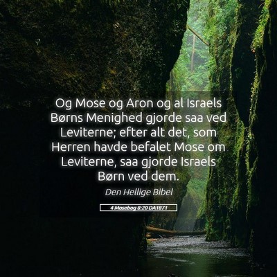 Picture 05 - 4 Mosebog 8:20 DA1871 - Og Mose og Aron og al Israels Børns Menighed - Bible Verse Picture