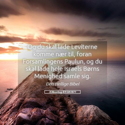 Picture 05 - 4 Mosebog 8:9 DA1871 - Og du skal lade Leviterne komme nær til, foran - Bible Verse Picture