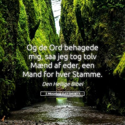 Picture 05 - 5 Mosebog 1:23 DA1871 - Og de Ord behagede mig, saa jeg tog tolv Mænd af - Bible Verse Picture
