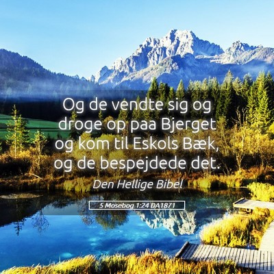 Picture 05 - 5 Mosebog 1:24 DA1871 - Og de vendte sig og droge op paa Bjerget og kom - Bible Verse Picture