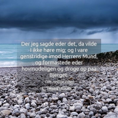 Picture 05 - 5 Mosebog 1:43 DA1871 - Der jeg sagde eder det, da vilde I ikke høre - Bible Verse Picture