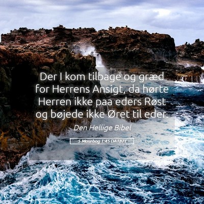Picture 05 - 5 Mosebog 1:45 DA1871 - Der I kom tilbage og græd for Herrens Ansigt, da - Bible Verse Picture
