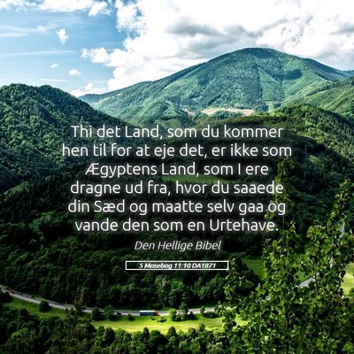 Picture 05 - 5 Mosebog 11:10 DA1871 - Thi det Land, som du kommer hen til for at eje - Bible Verse Picture