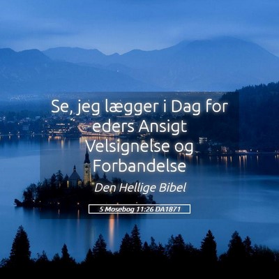 Picture 05 - 5 Mosebog 11:26 DA1871 - Se, jeg lægger i Dag for eders Ansigt - Bible Verse Picture