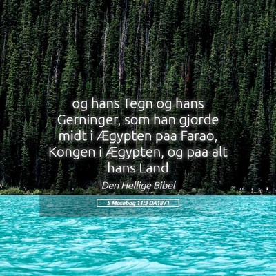 Picture 05 - 5 Mosebog 11:3 DA1871 - og hans Tegn og hans Gerninger, som han gjorde - Bible Verse Picture