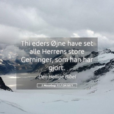 Picture 05 - 5 Mosebog 11:7 DA1871 - Thi eders Øjne have set alle Herrens store - Bible Verse Picture