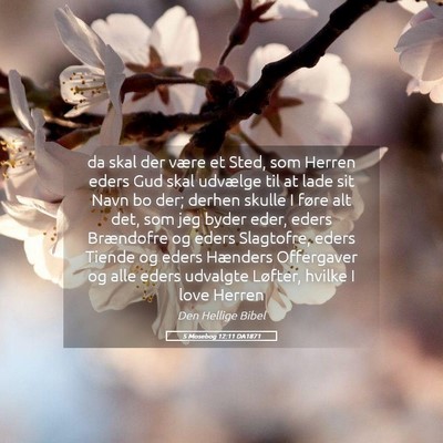 Picture 05 - 5 Mosebog 12:11 DA1871 - da skal der være et Sted, som Herren eders Gud - Bible Verse Picture