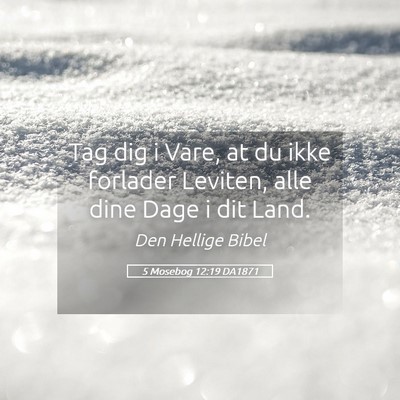 Picture 05 - 5 Mosebog 12:19 DA1871 - Tag dig i Vare, at du ikke forlader Leviten, alle - Bible Verse Picture