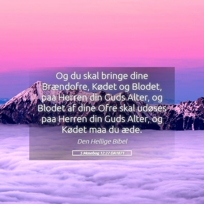 Picture 05 - 5 Mosebog 12:27 DA1871 - Og du skal bringe dine Brændofre, Kødet og - Bible Verse Picture