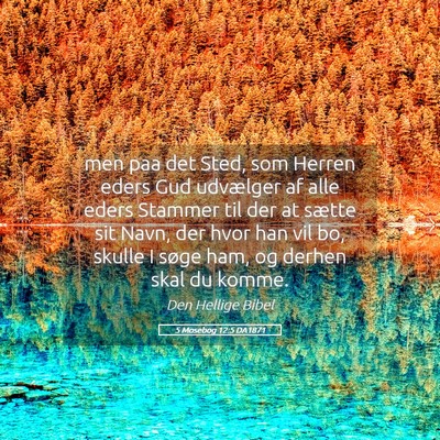 Picture 05 - 5 Mosebog 12:5 DA1871 - men paa det Sted, som Herren eders Gud udvælger - Bible Verse Picture