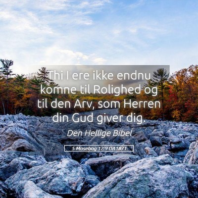 Picture 05 - 5 Mosebog 12:9 DA1871 - Thi I ere ikke endnu komne til Rolighed og til - Bible Verse Picture