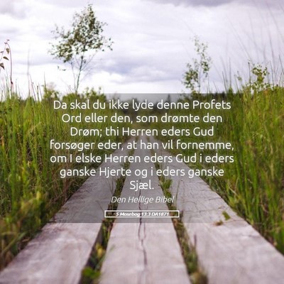 Picture 05 - 5 Mosebog 13:3 DA1871 - Da skal du ikke lyde denne Profets Ord eller den, - Bible Verse Picture