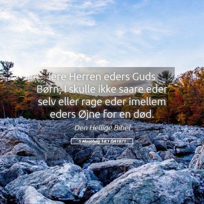 Picture 05 - 5 Mosebog 14:1 DA1871 - Iere Herren eders Guds Børn, I skulle ikke saare - Bible Verse Picture