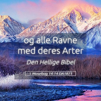 Picture 05 - 5 Mosebog 14:14 DA1871 - og alle Ravne med deres - Bible Verse Picture