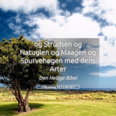Picture 05 - 5 Mosebog 14:15 DA1871 - og Strudsen og Natuglen og Maagen og Spurvehøgen - Bible Verse Picture
