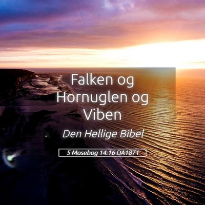 Picture 05 - 5 Mosebog 14:16 DA1871 - Falken og Hornuglen og - Bible Verse Picture
