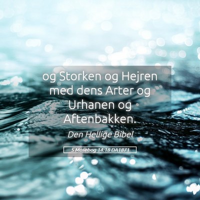 Picture 05 - 5 Mosebog 14:18 DA1871 - og Storken og Hejren med dens Arter og Urhanen og - Bible Verse Picture