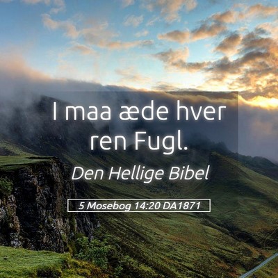 Picture 05 - 5 Mosebog 14:20 DA1871 - I maa æde hver ren - Bible Verse Picture